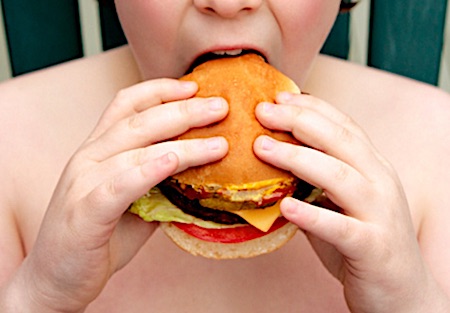 hamburger obesita ilmamilio