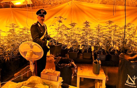 marijuana marino carabinieri ilmamilio
