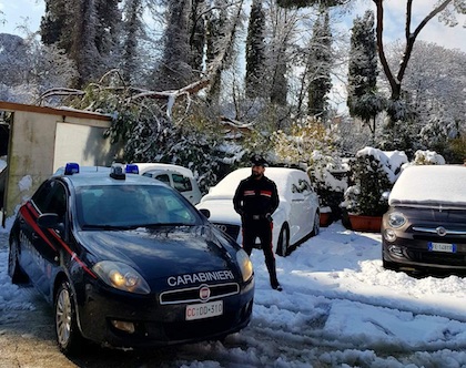 carabinieri zagarolo albero