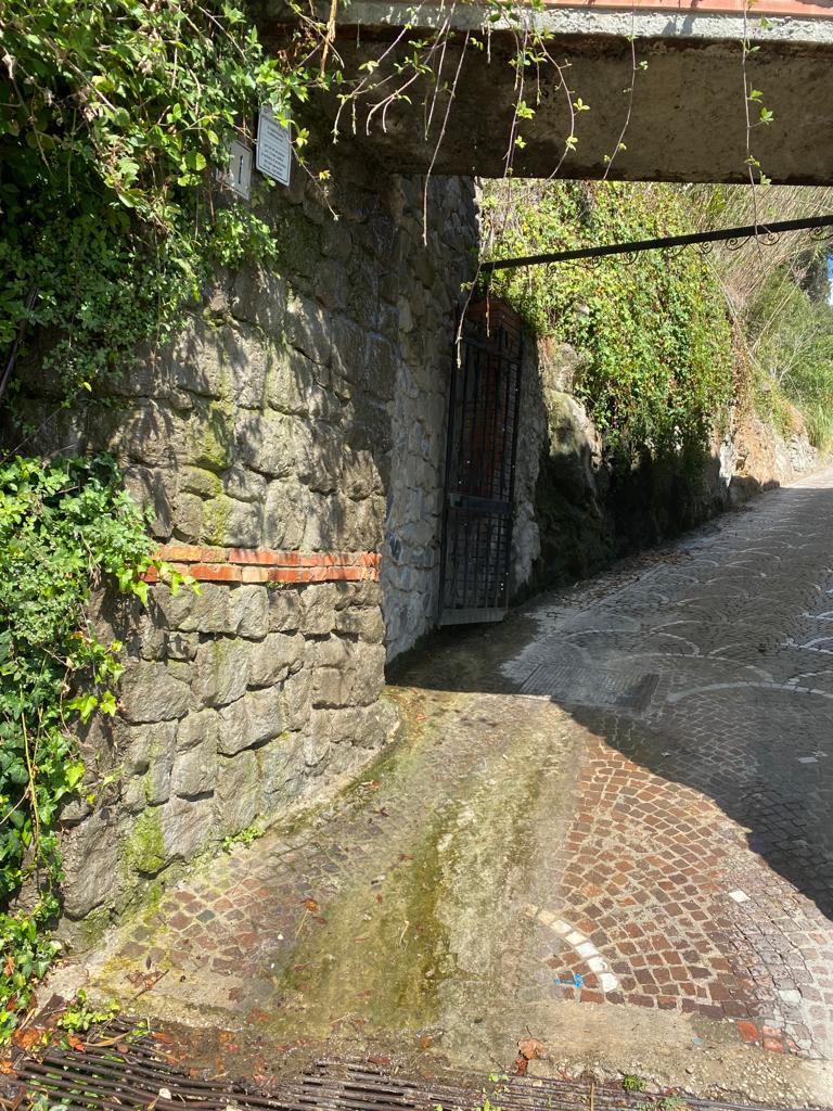 Castel Gandolfo, in Via dei Pescatori di nuovo copiose le perdite idriche