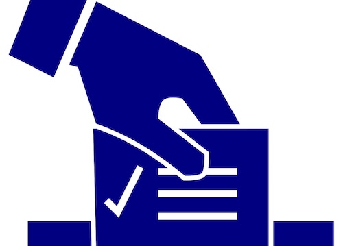 elezioni voto votazioni ilmamilio