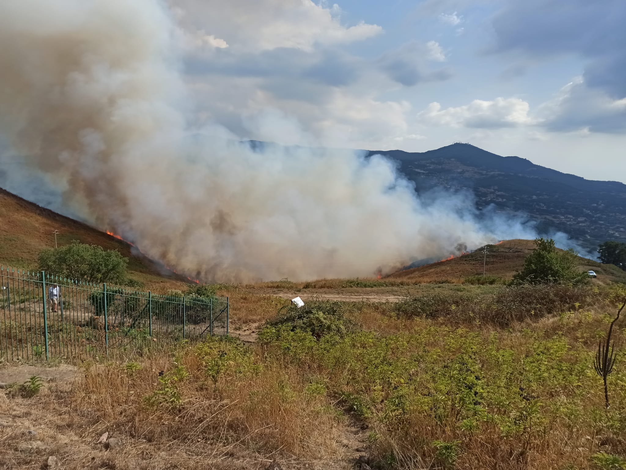 FOTO/VIDEO - Incendio sul Monte Tuscolo, versante di Grottaferrata. Sul  posto uomini e mezzi. Piromani scatenati