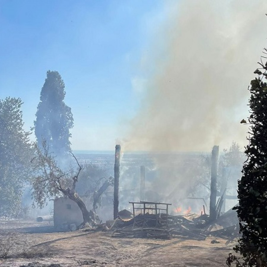 Castel Gandolfo | Incendio nei terreni agricoli: decine di ettari di vegetazione in fiamme