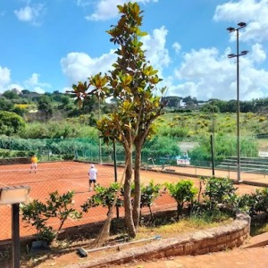 Tennis | Dal 27 giugno al TC Le Colline l'8^ tappa dell'ATP Lazio Tour