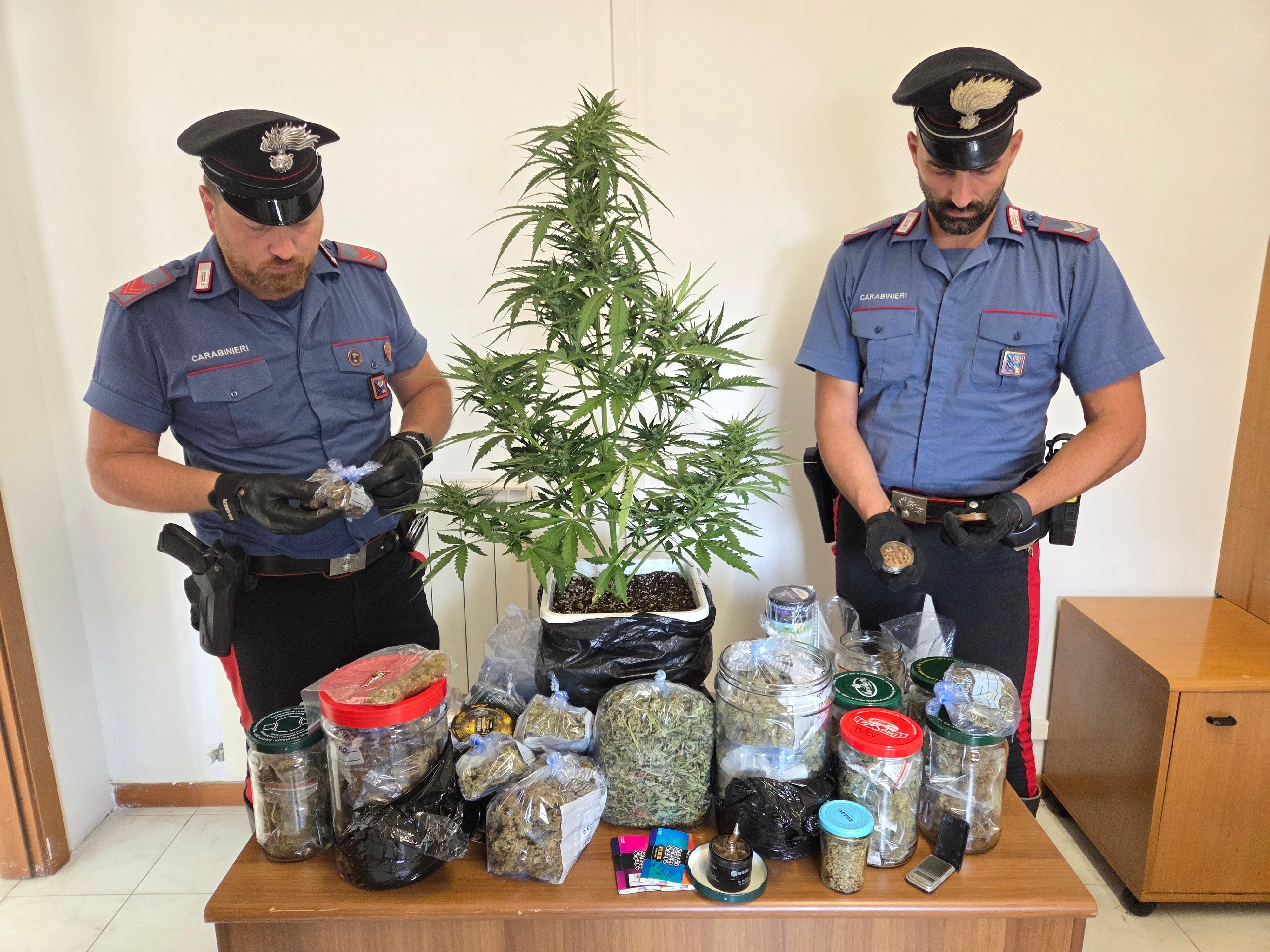 ANZIO La droga sequestrata dai Carabinieri - ilmamilio