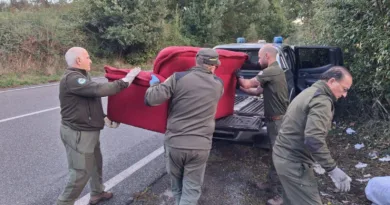 Rifiuti oparco castelli romani